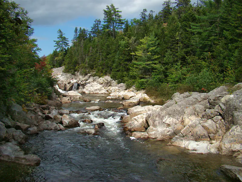 Fundy National Park - Baie de Fundy et South Shore