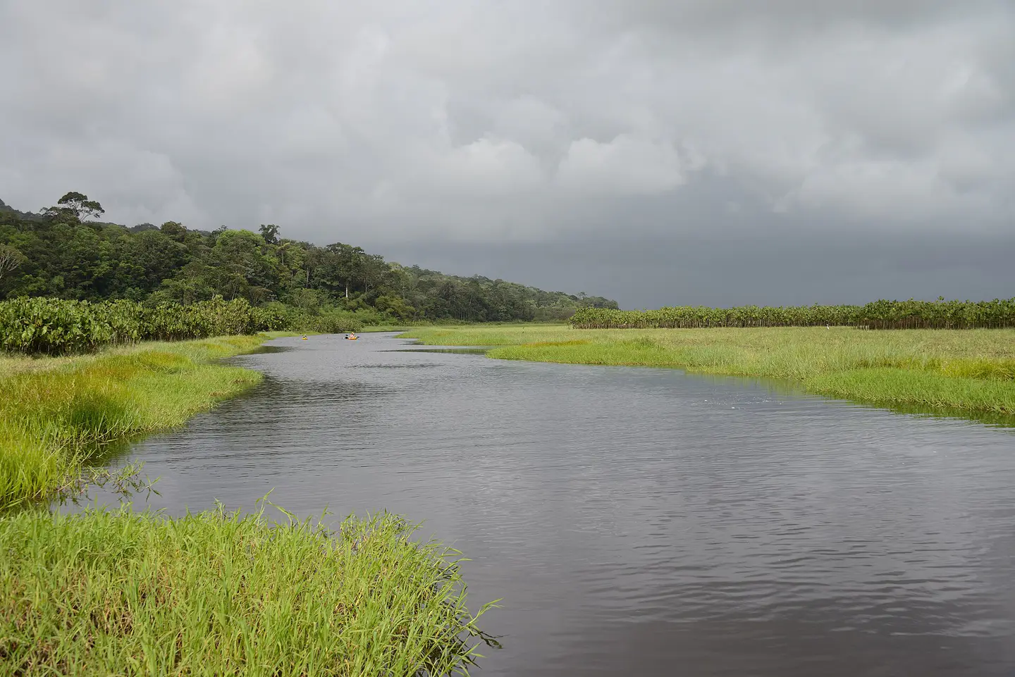 Kaw Roura - guyana-kaw-marshes