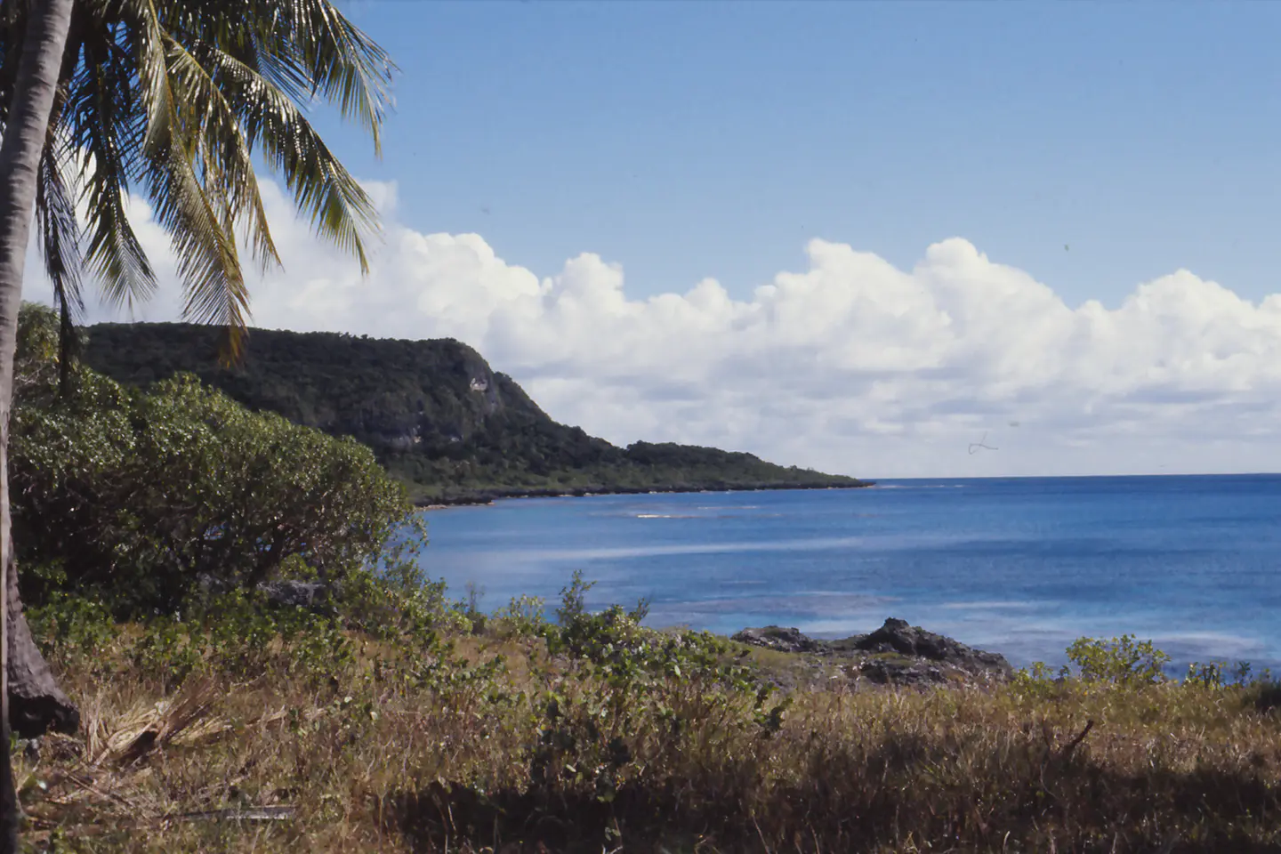 Mare New Caledonia - Îles Loyauté