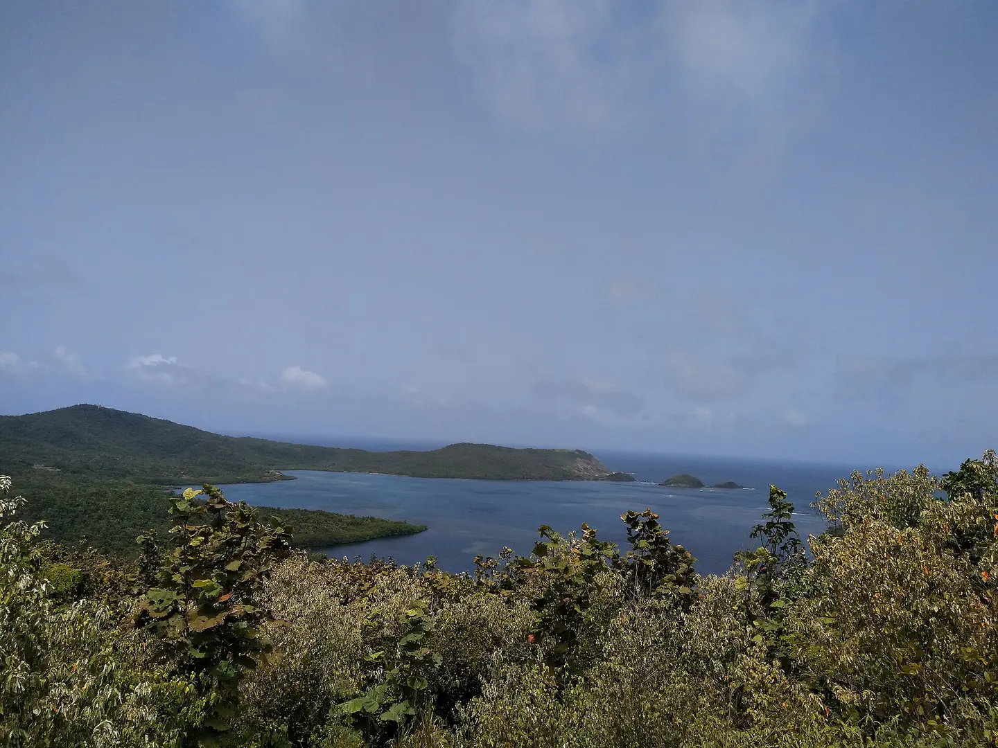 Presquile de la Caravelle - Martinique atlantique
