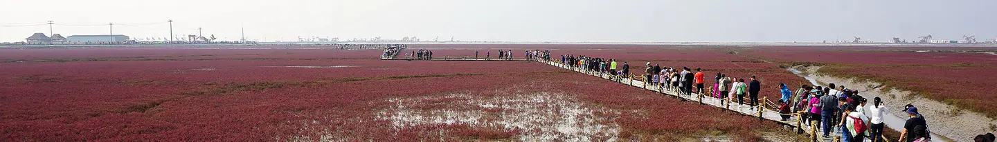 Panjin China - panjin-red-beach