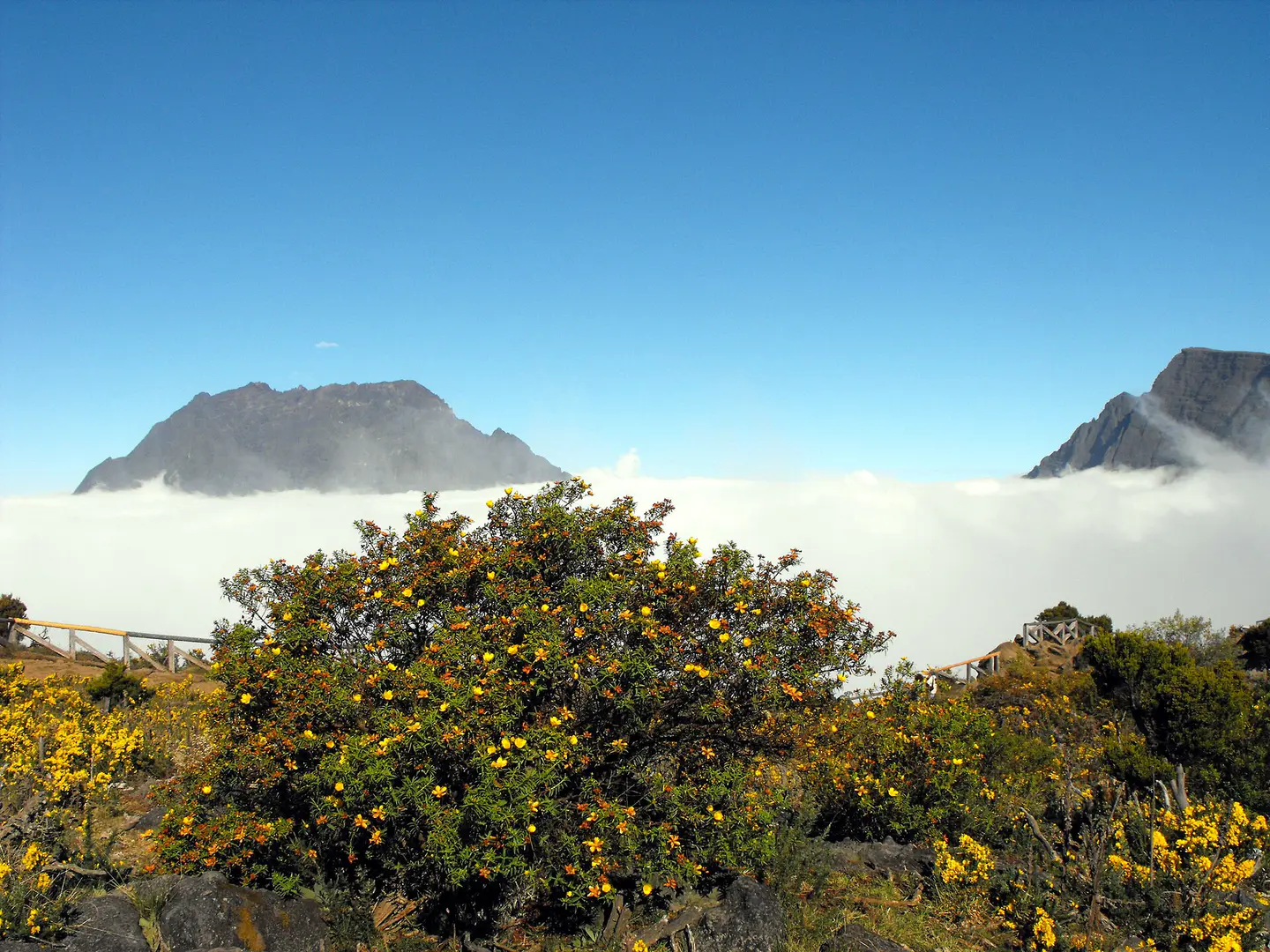 Piton Maido - reunion-west-coast