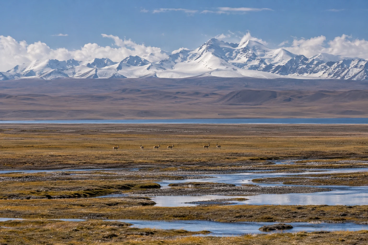 Landscapes of the Hoh Xil