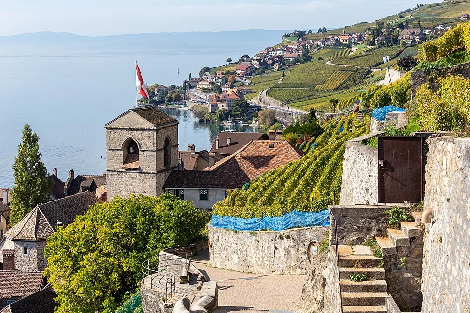 Lavaux, vignoble en terrasses