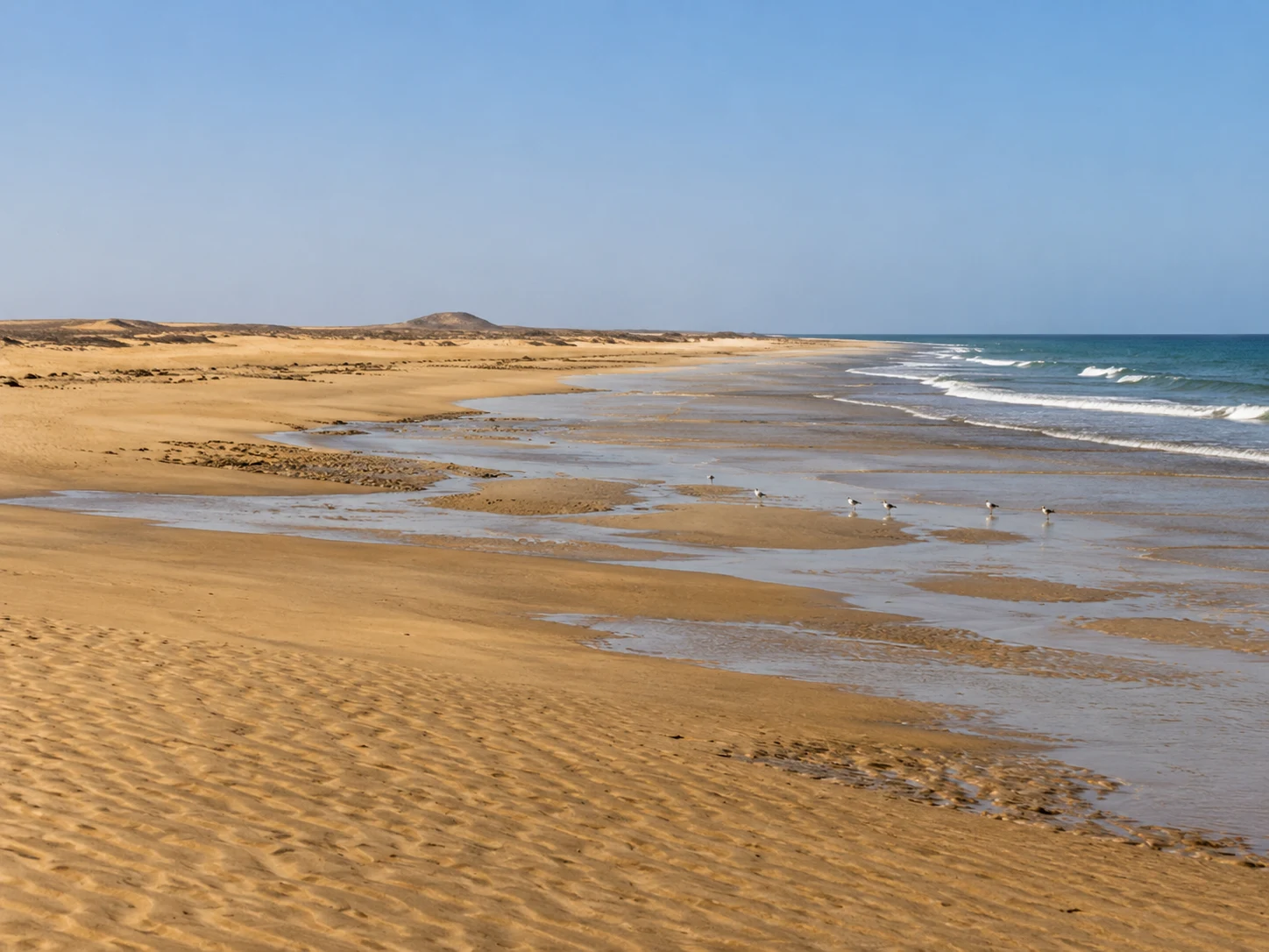 Isla d’Arguin