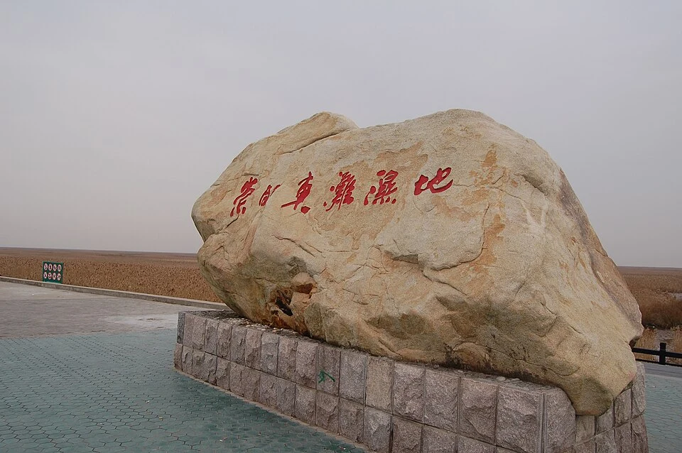 Sanctuaires d’oiseaux migrateurs le long du littoral de la mer Jaune et du golfe de Bohai de Chine