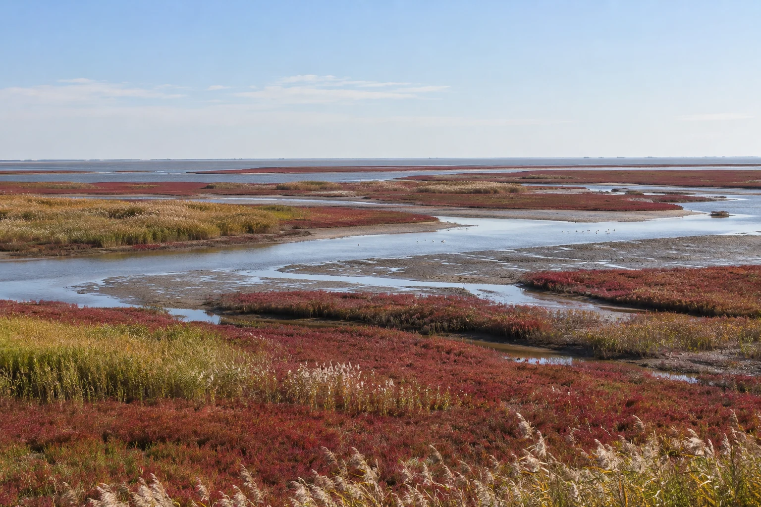 Liaohe Delta Nature Reserve