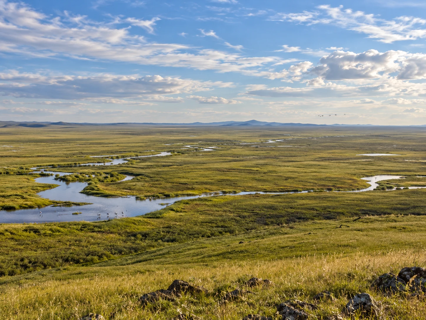 Estepa de Mongol Daguur