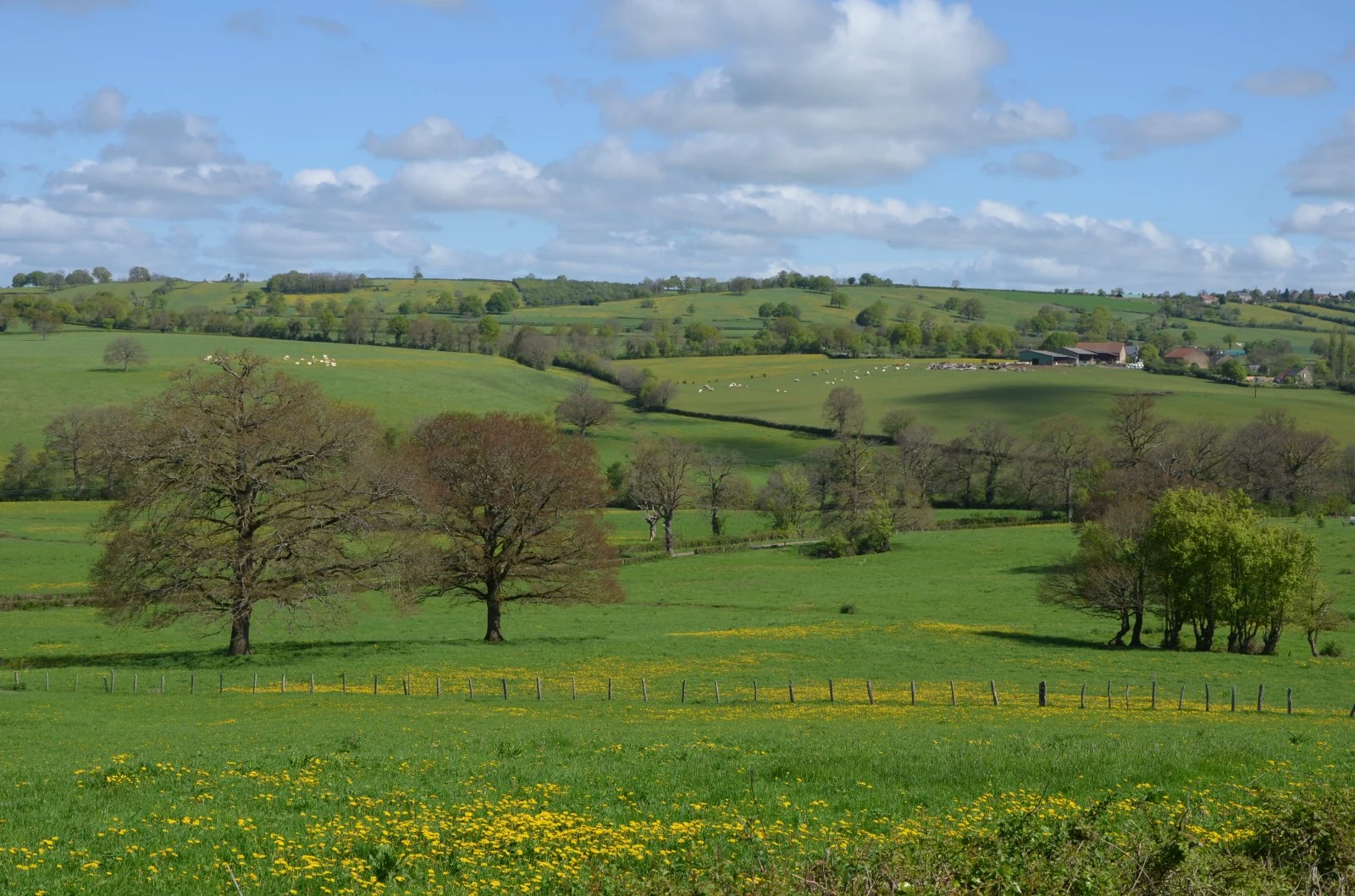 The hills of Morvan