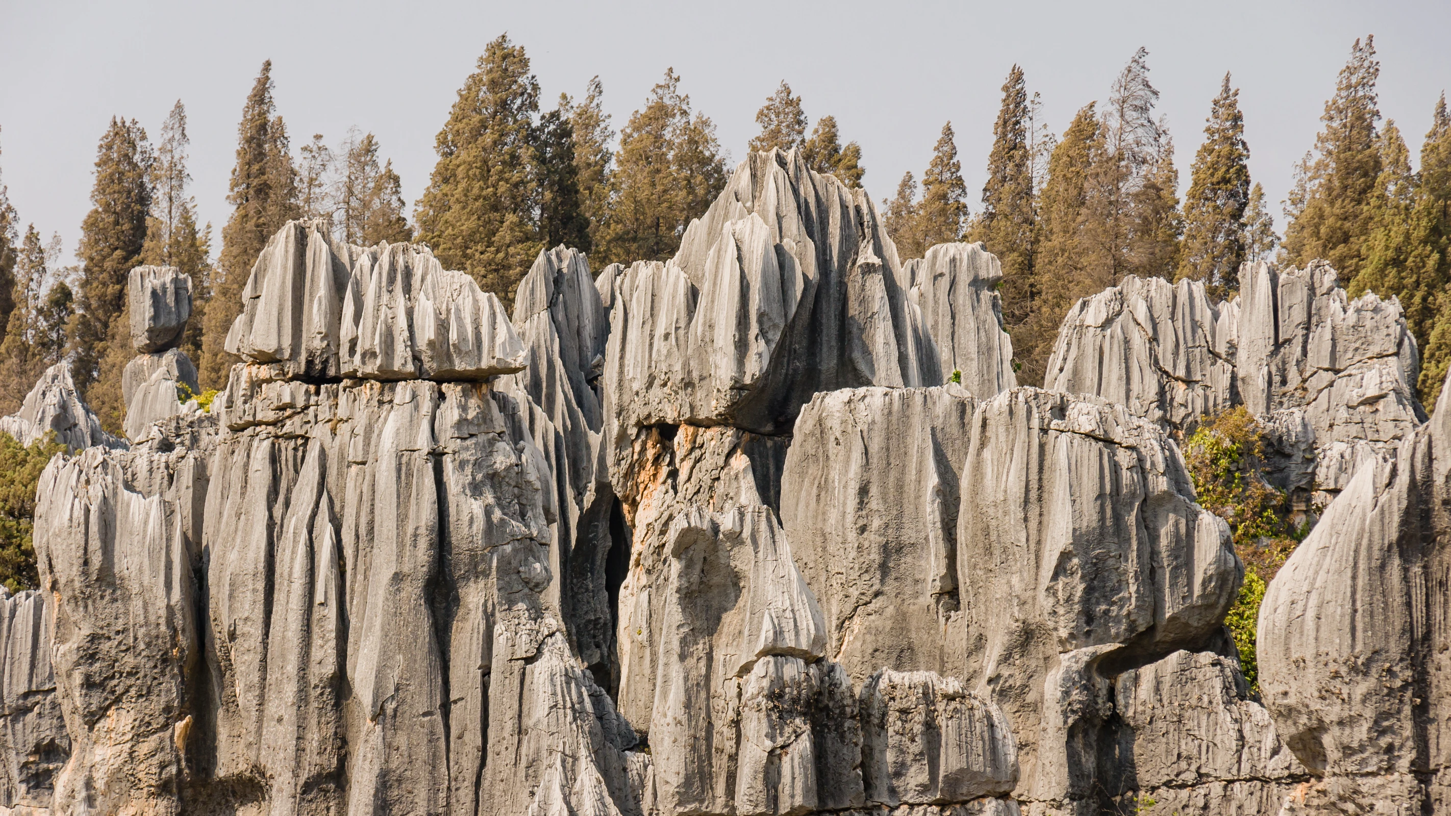 Bosque de Piedra de Shilin, Yunnan