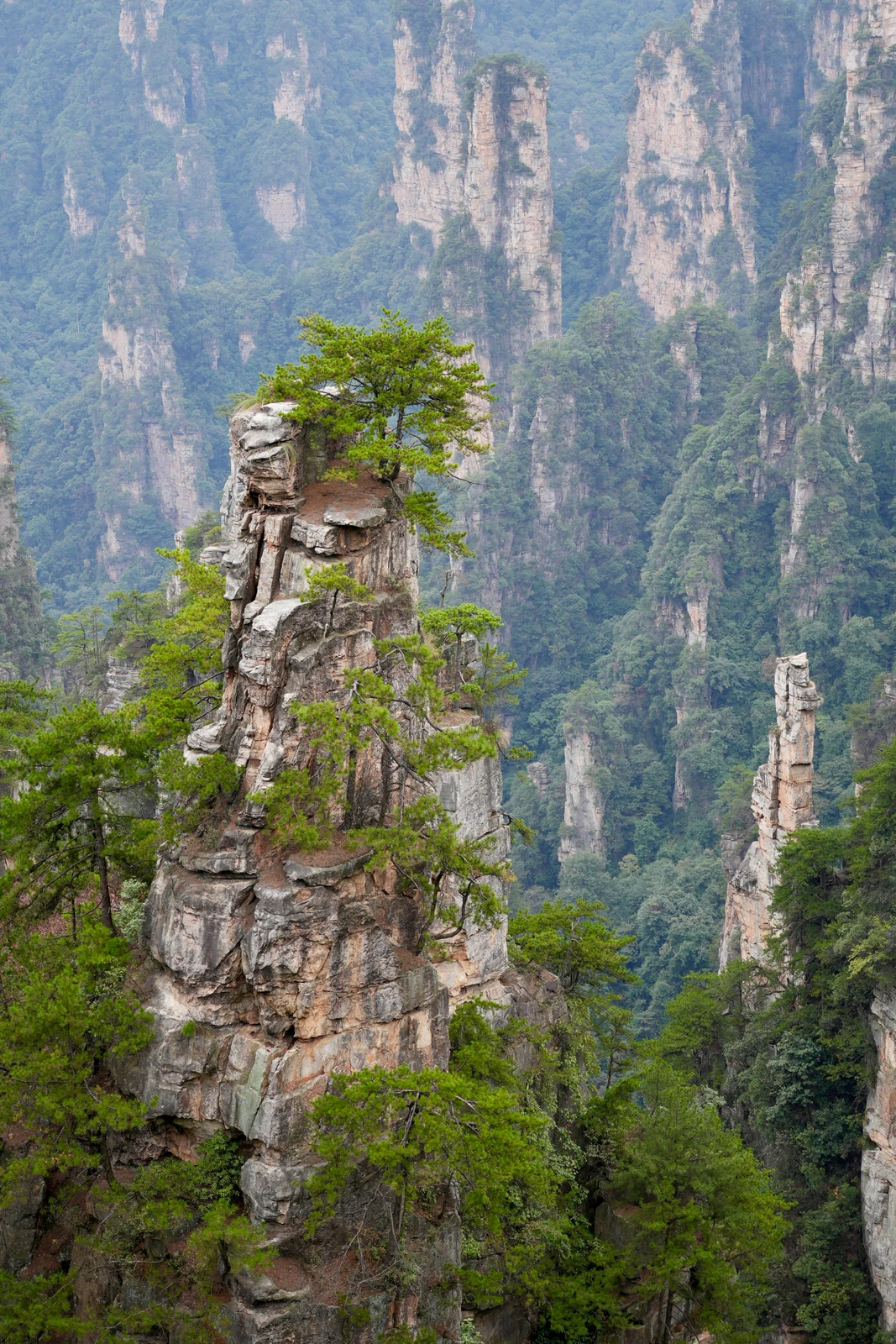 Pilares de arenisca de Zhangjiajie