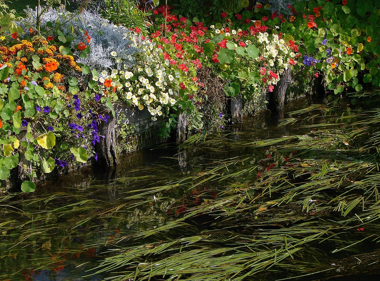 Les canaux des hortillonnages