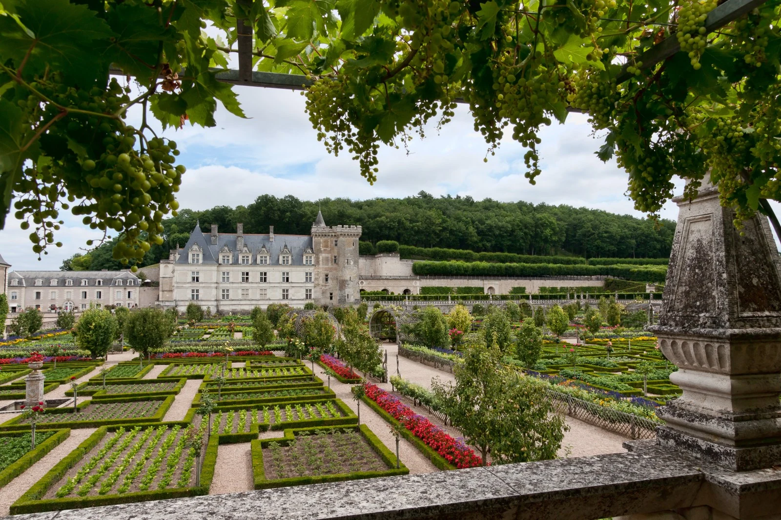 Villandry et ses jardins