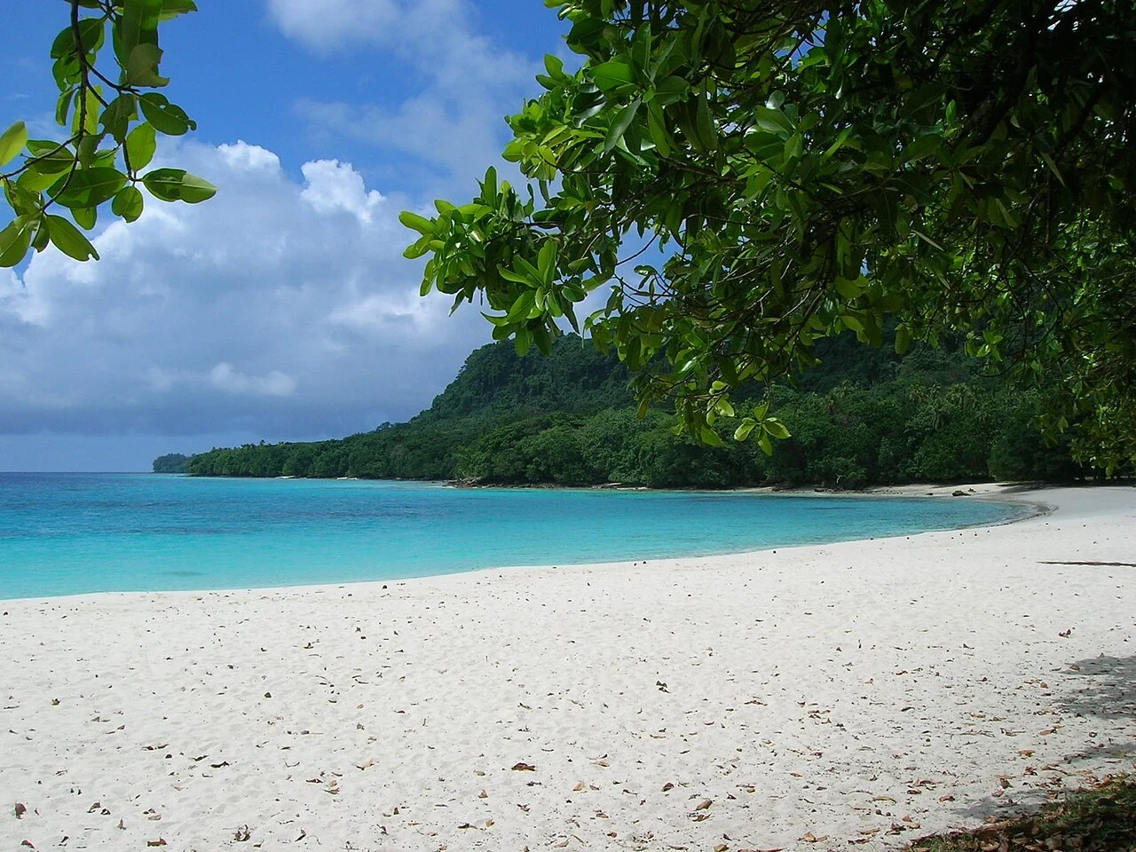 Champagne Beach on Espiritu Santo