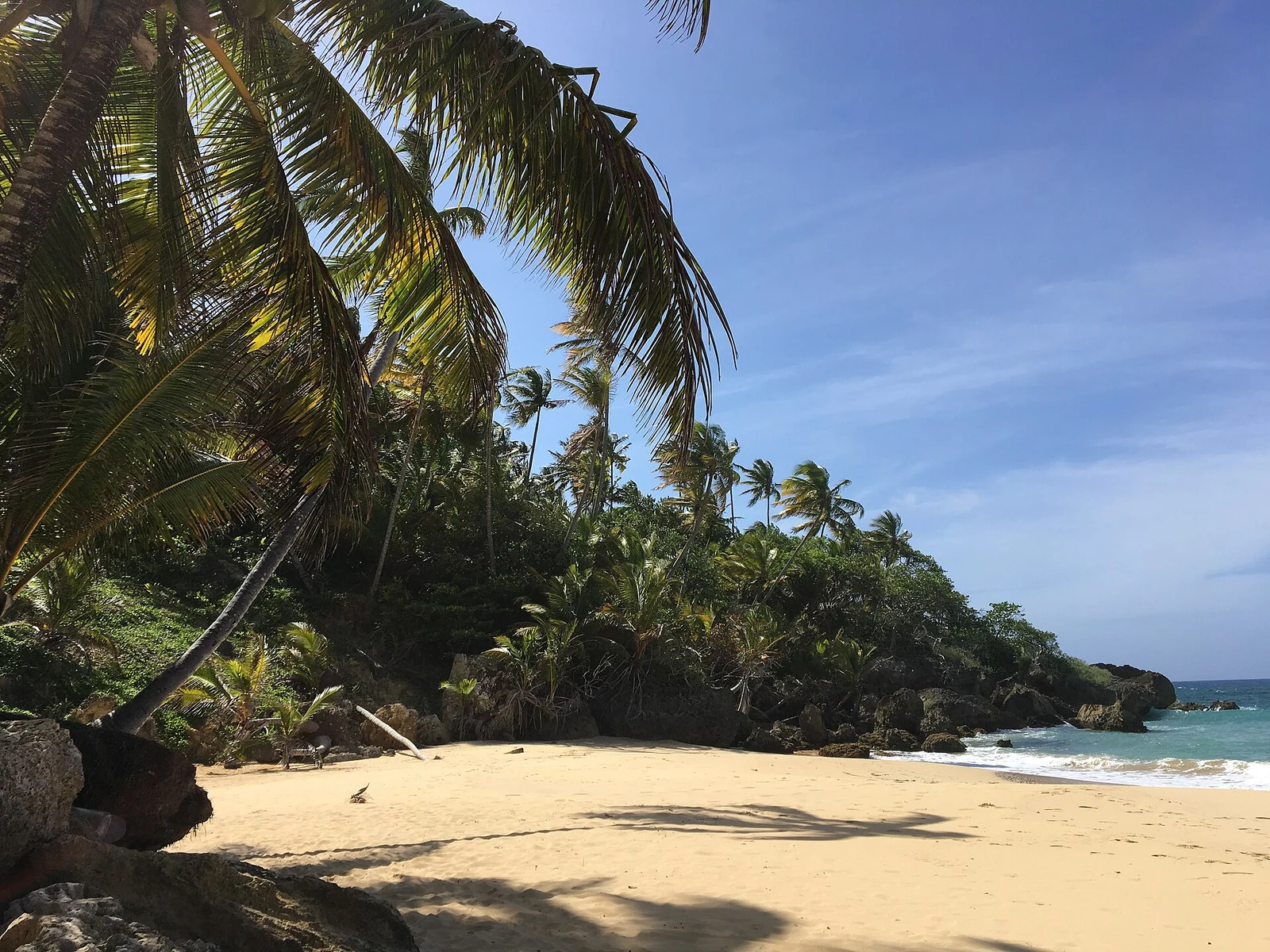 Las Terrenas beaches