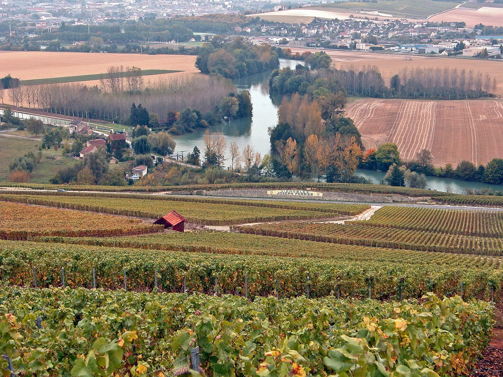 The Champagne vineyards