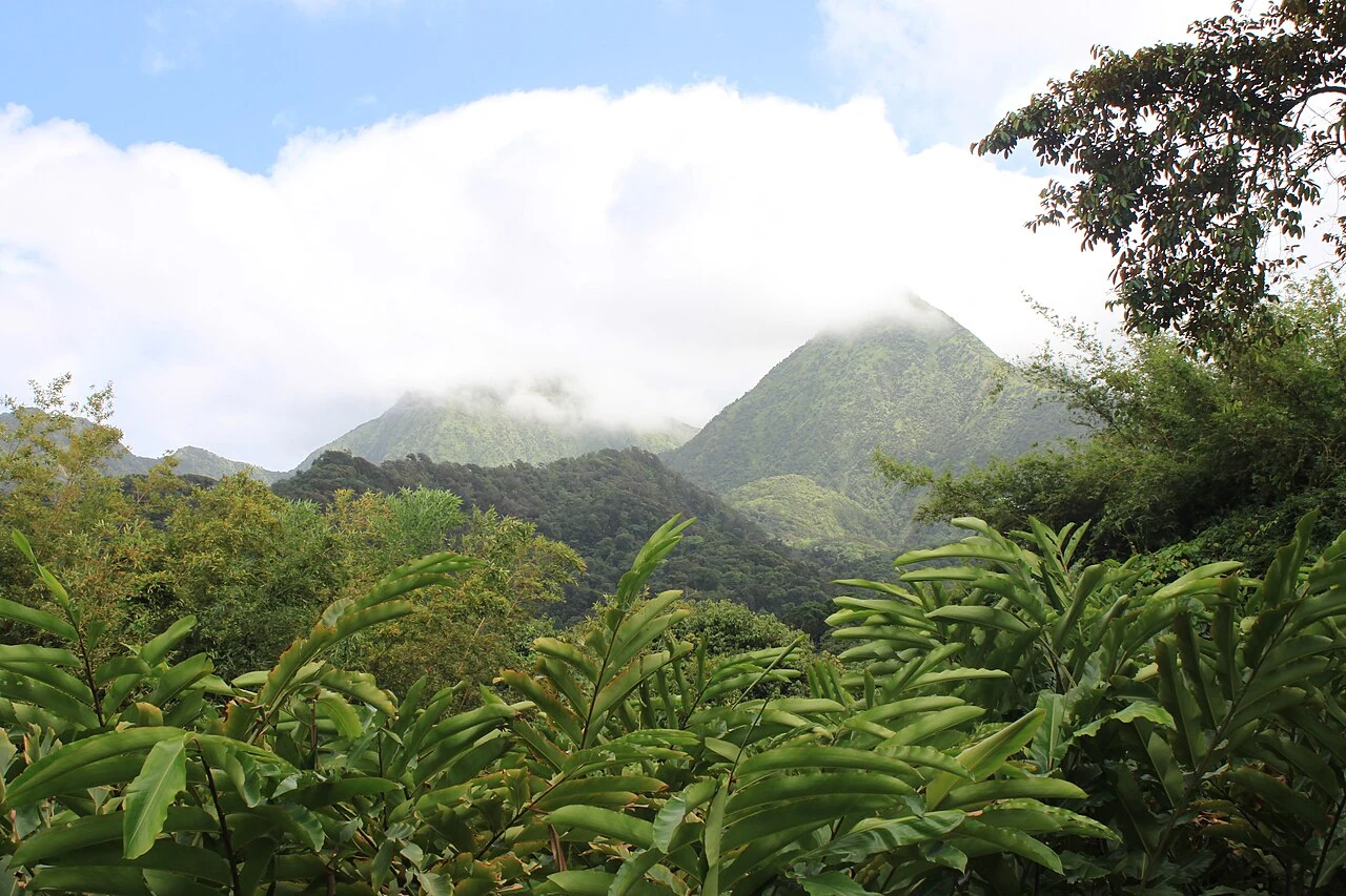 The hills and rainforest of Martinique