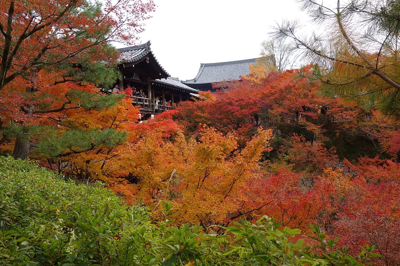 Los arces de Tōfuku-ji en otoño
