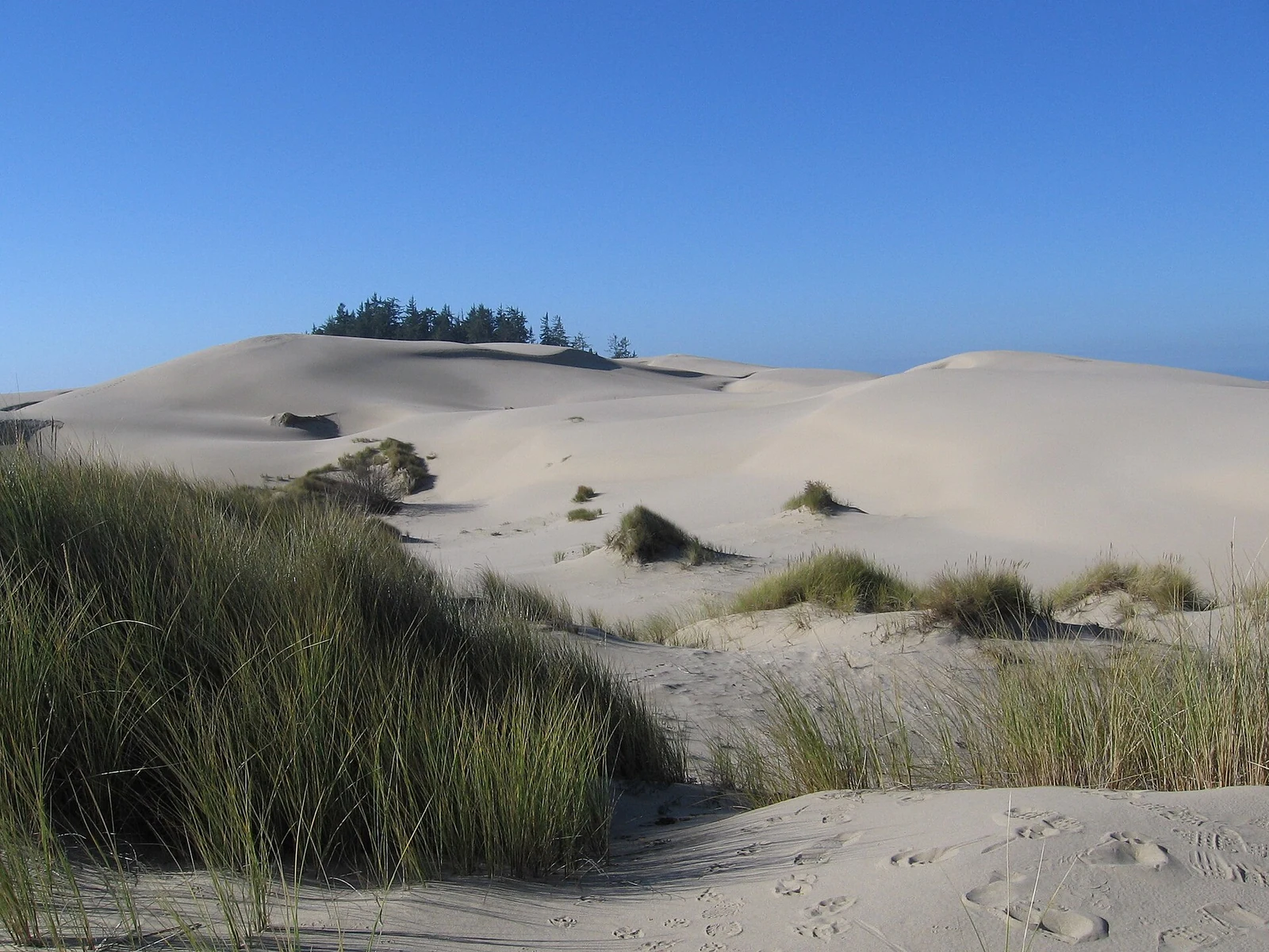 Dunas de Oregón