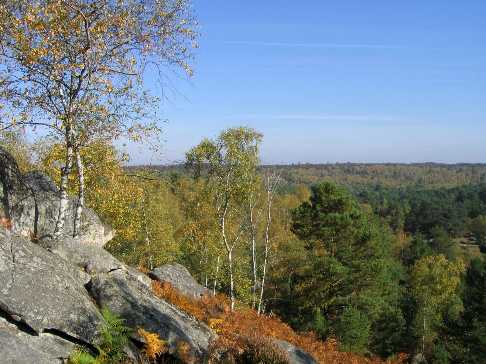 Bosque de Fontainebleau