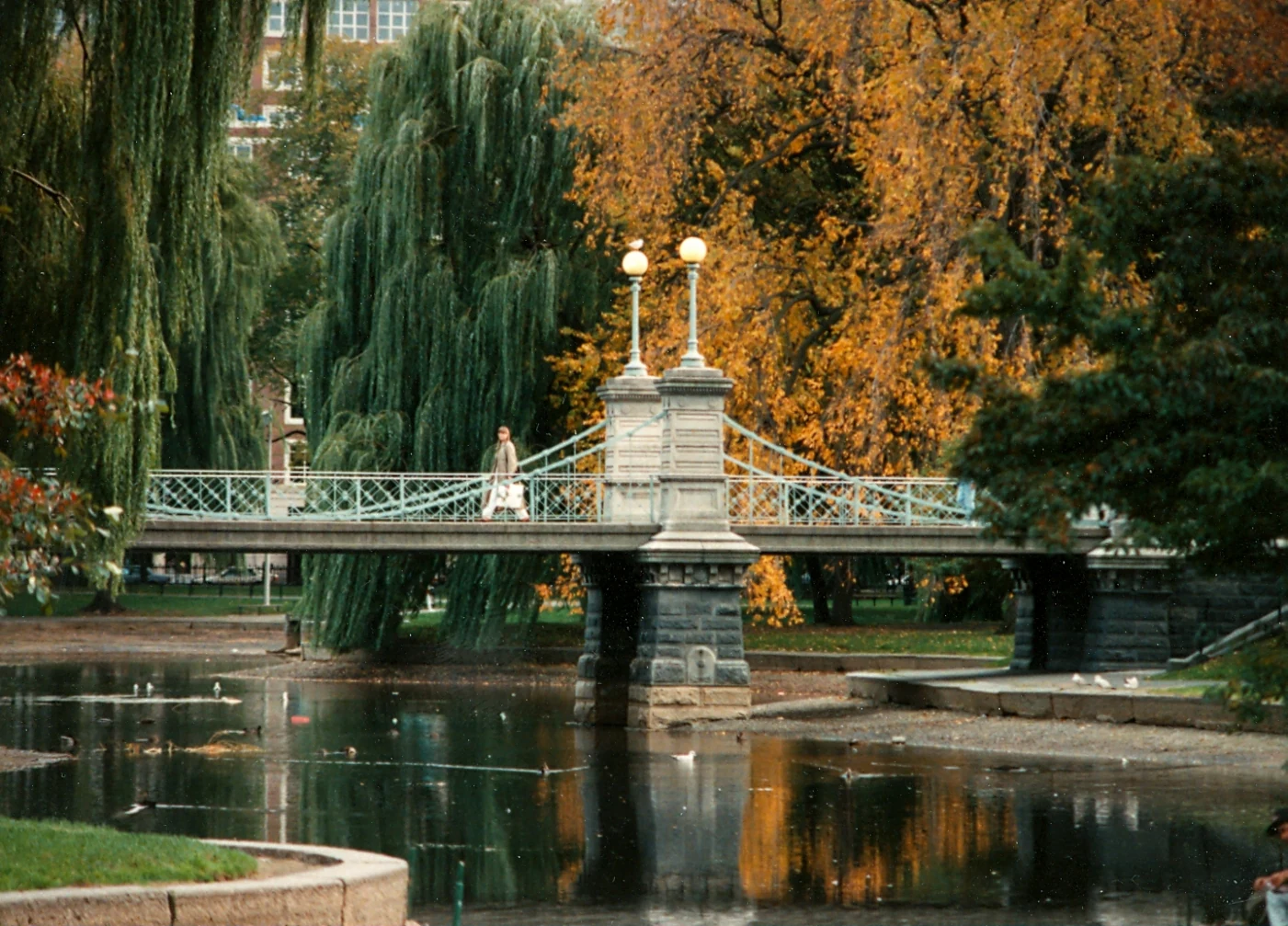 Jardín público de Boston en otoño