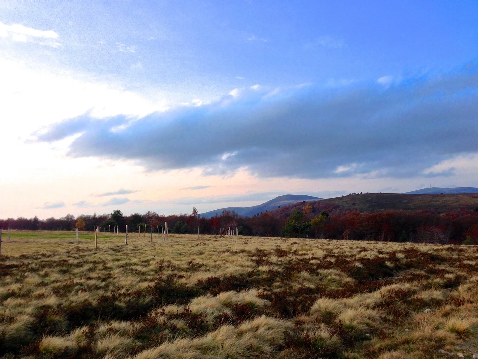 The high mountain meadows of Forez