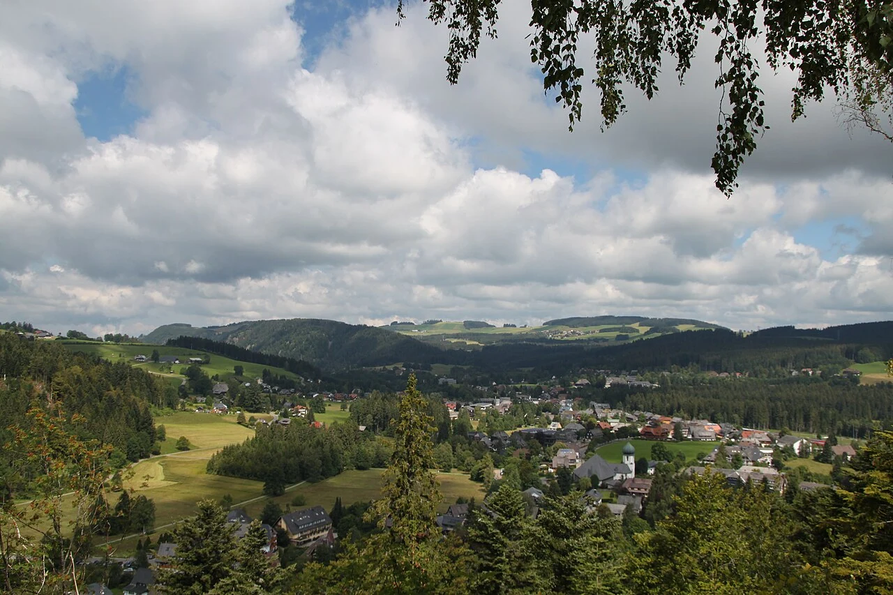 The meadows around Hinterzarten