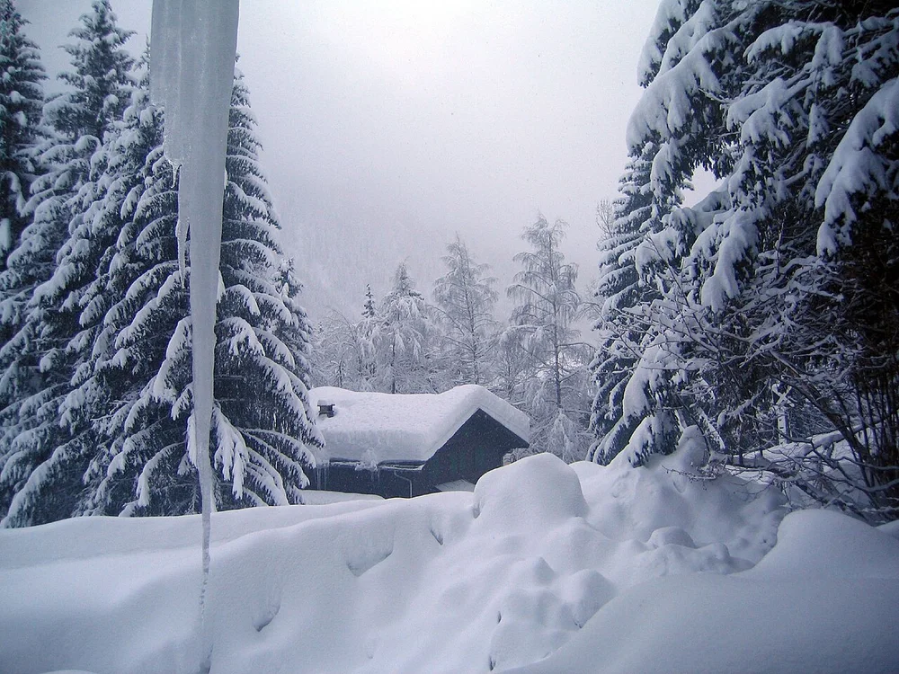View from McNab chalet - Flickr - Ruth and Dave
