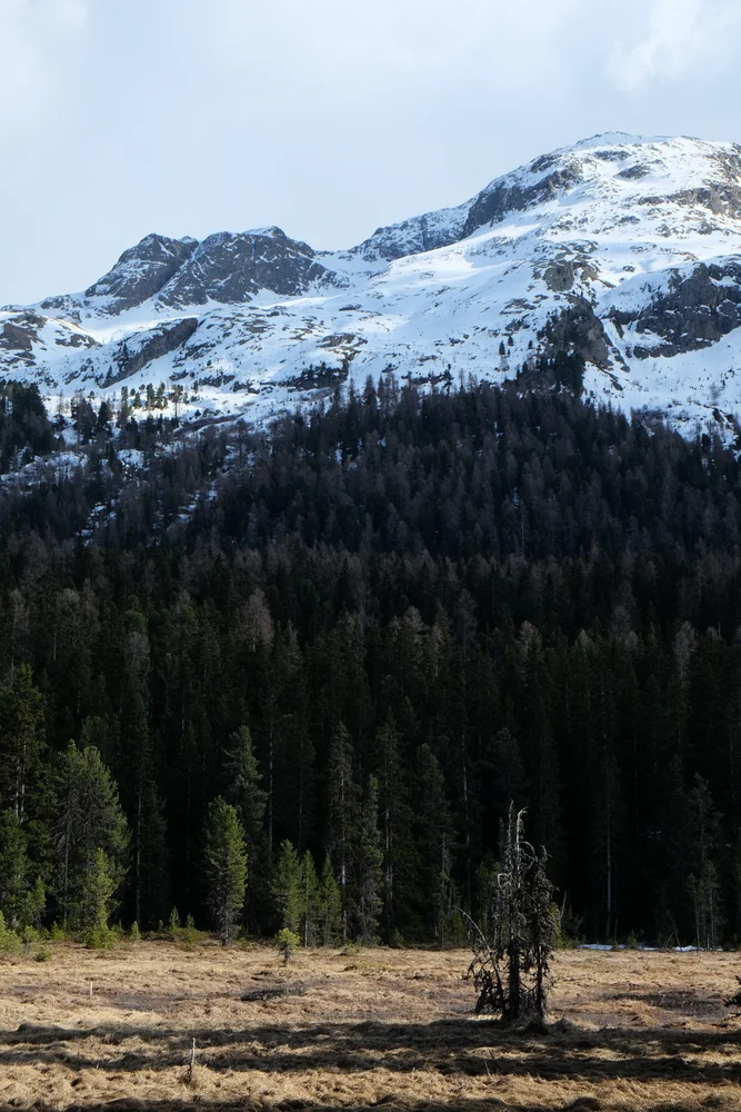 Some Light And Some Snow (208439431)