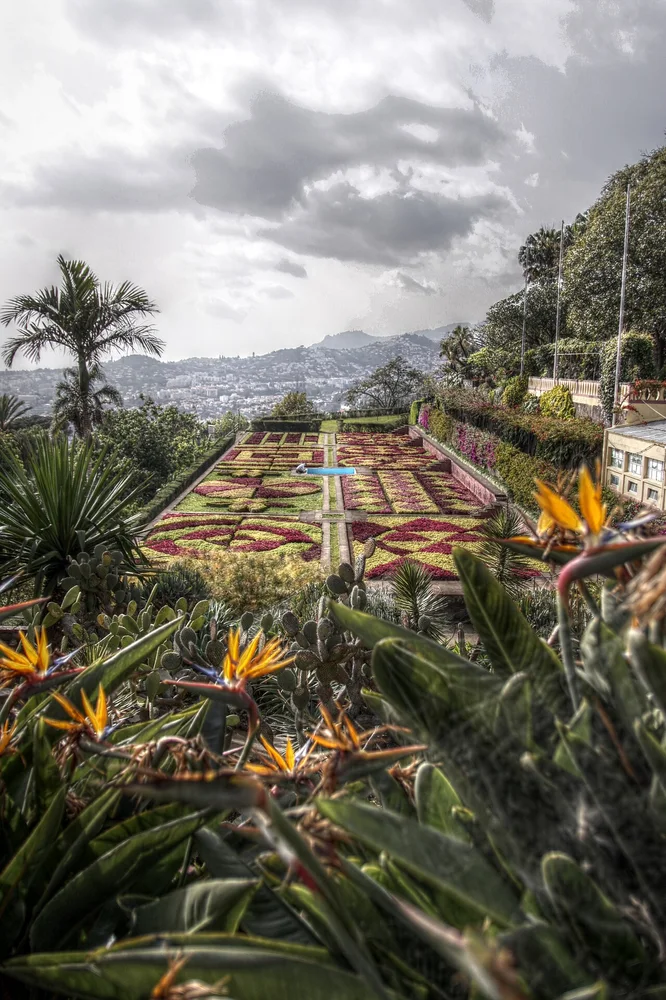 Madeira - Madeira Botanical Garden (33537645715)