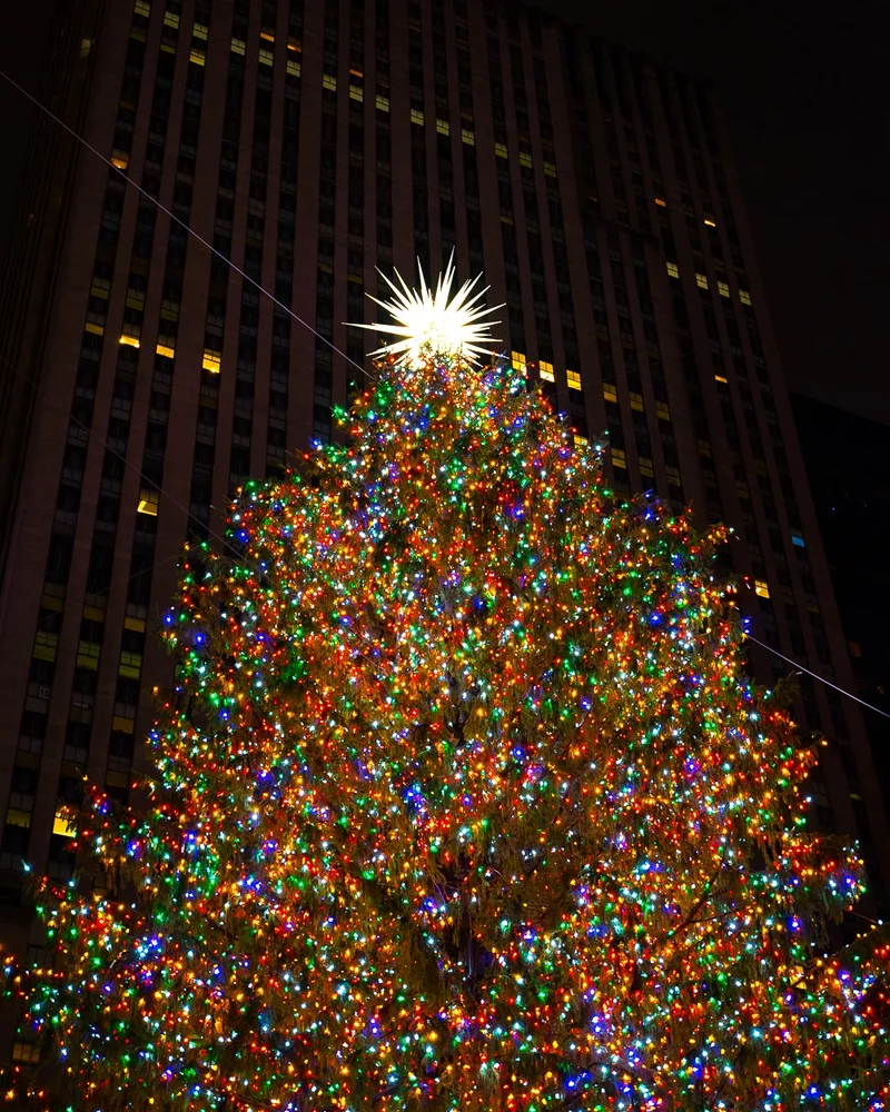 Rockefeller Christmas Tree Close-Up 2018