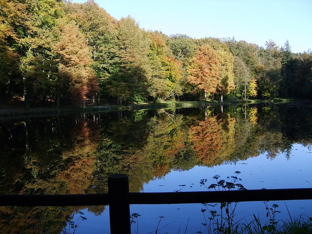 Forêt de Bellême