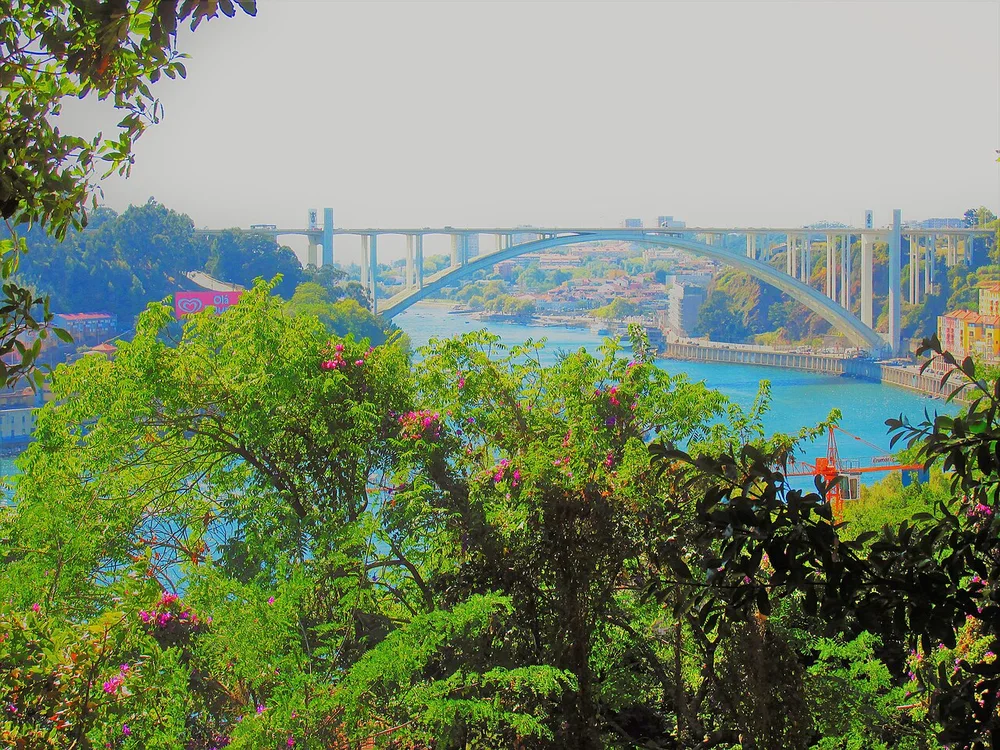 Amazing O Porto Ii (225522485)