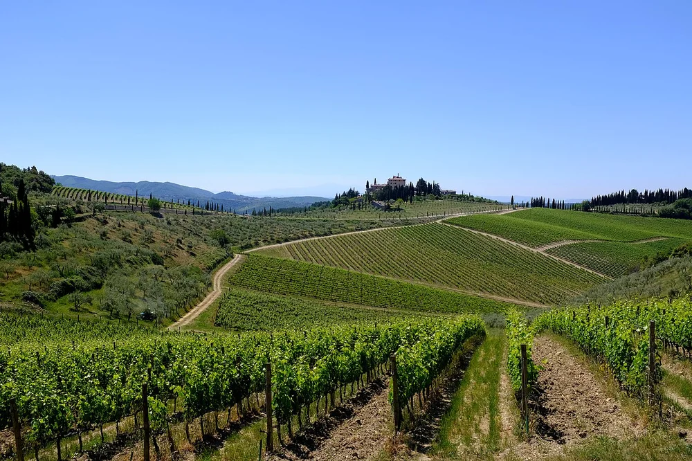 Quintessential Chianti (215763549)
