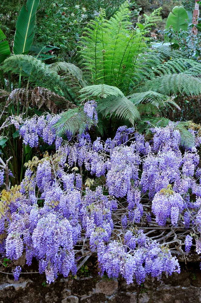 Sintra, Quinta da Regaleira 10